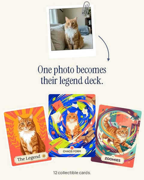 12 Cards For Everything They Actually Do
