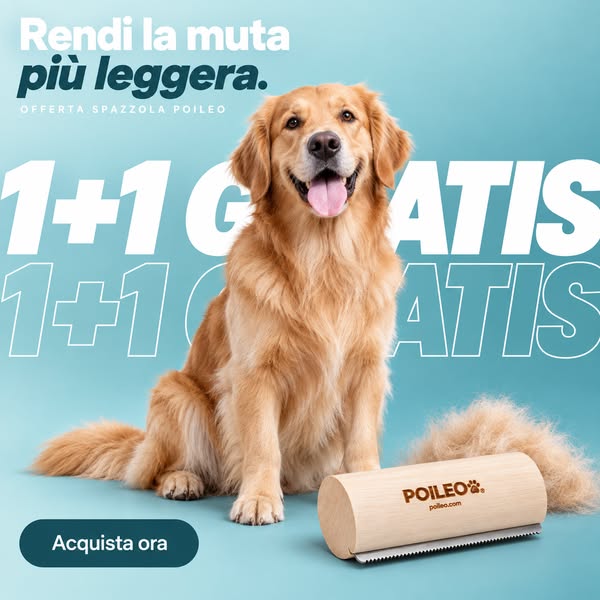 Rendi la muta più leggera