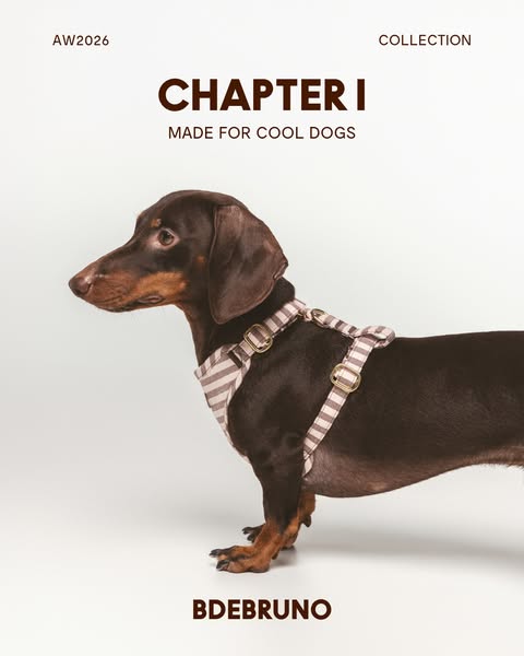 AW26 – Chapter I: new collection