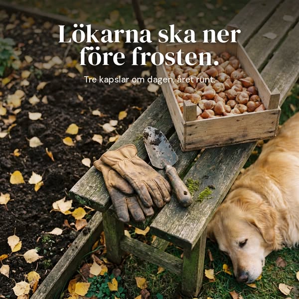 4,9 av 5 · 396 recensioner
