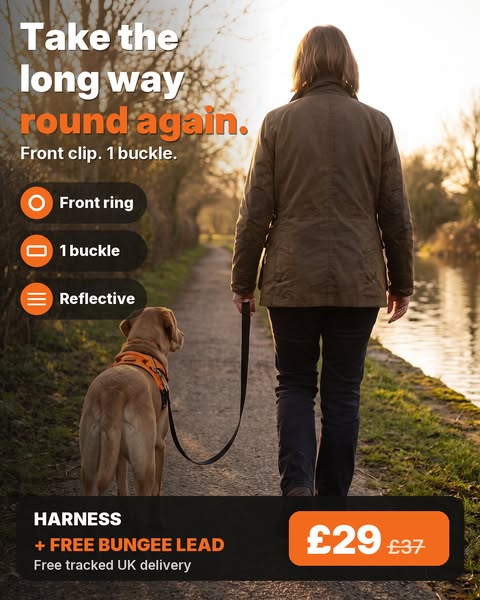 Harness + free lead, £29