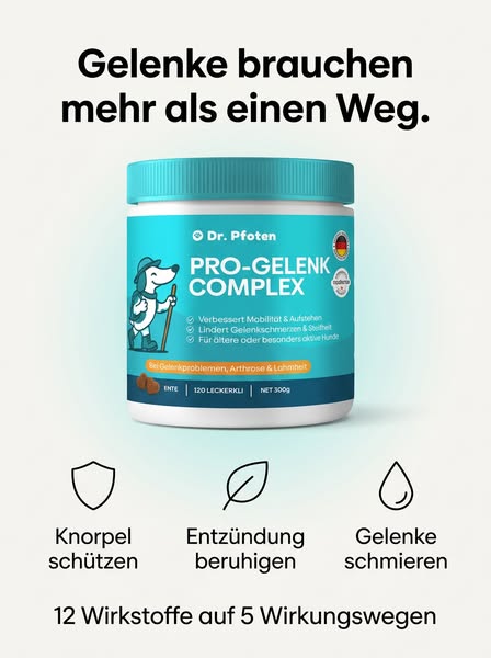 Mehr Beweglichkeit in 90 Tagen – oder Geld zurück