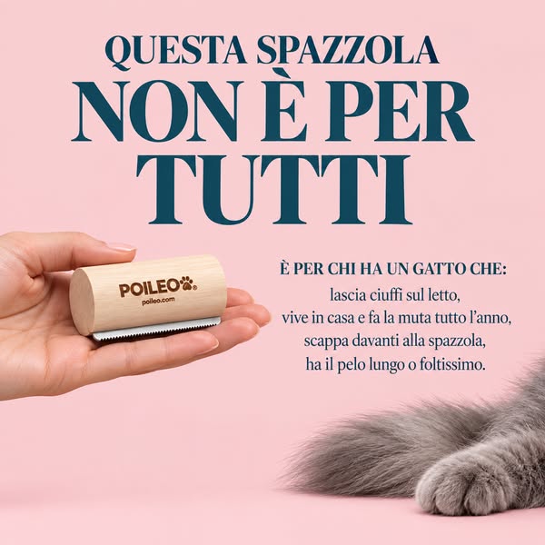 Per i gatti di casa
