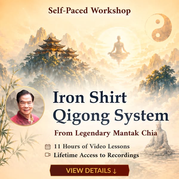 Complete Iron Shirt Qigong course