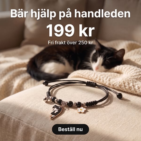 Endast 199 kronor. Verklig hjälp.