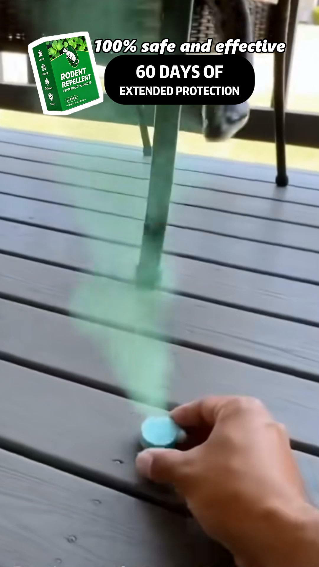 Keep Unwanted Rodents Away