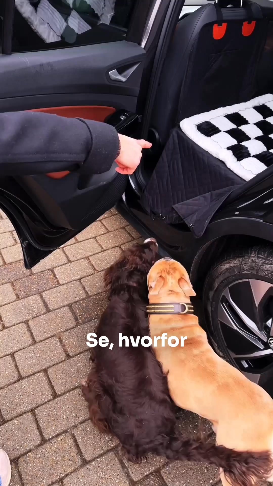 Hundejeres foretrukne løsning til bilen