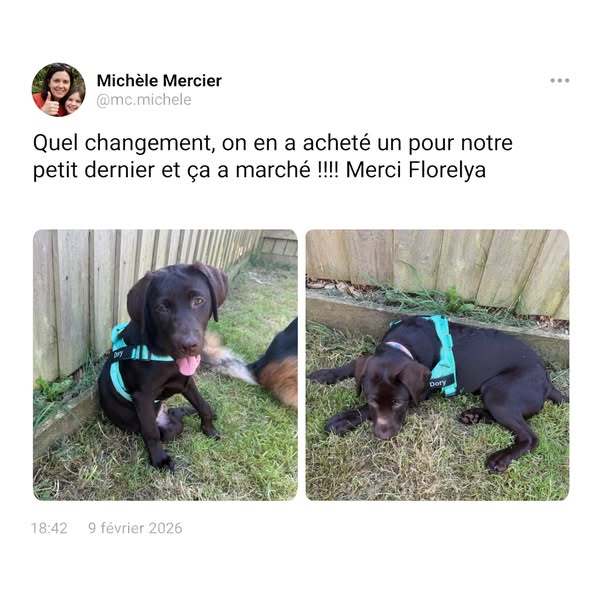 50 % — Dernières heures de l’offre
