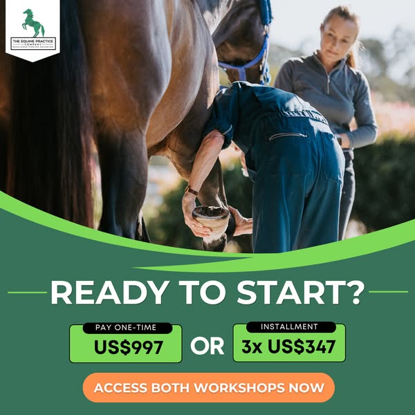 Get Both Workshops Today