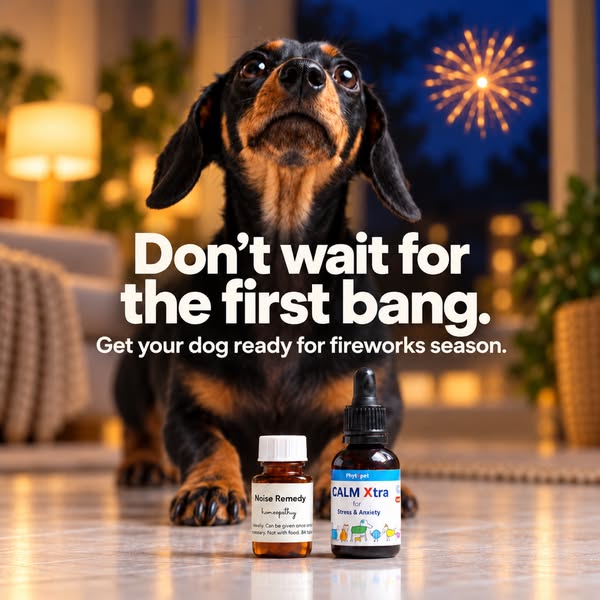 Natural Calming for Noise Sensitive Dogs