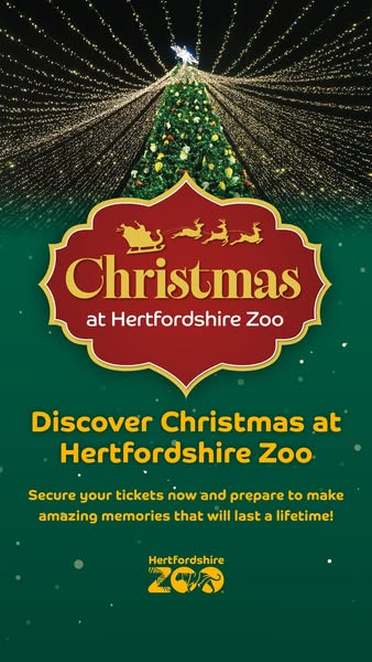 Christmas Wonderland at Hertfordshire Zoo | Hertfordshire Zoo
