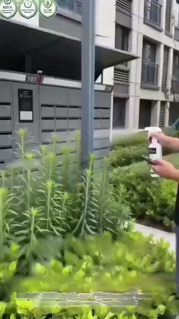 Fast-Acting Weed Spray