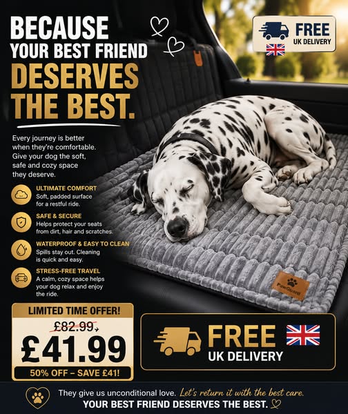 Give Your Best Friend the Comfort They Deserve