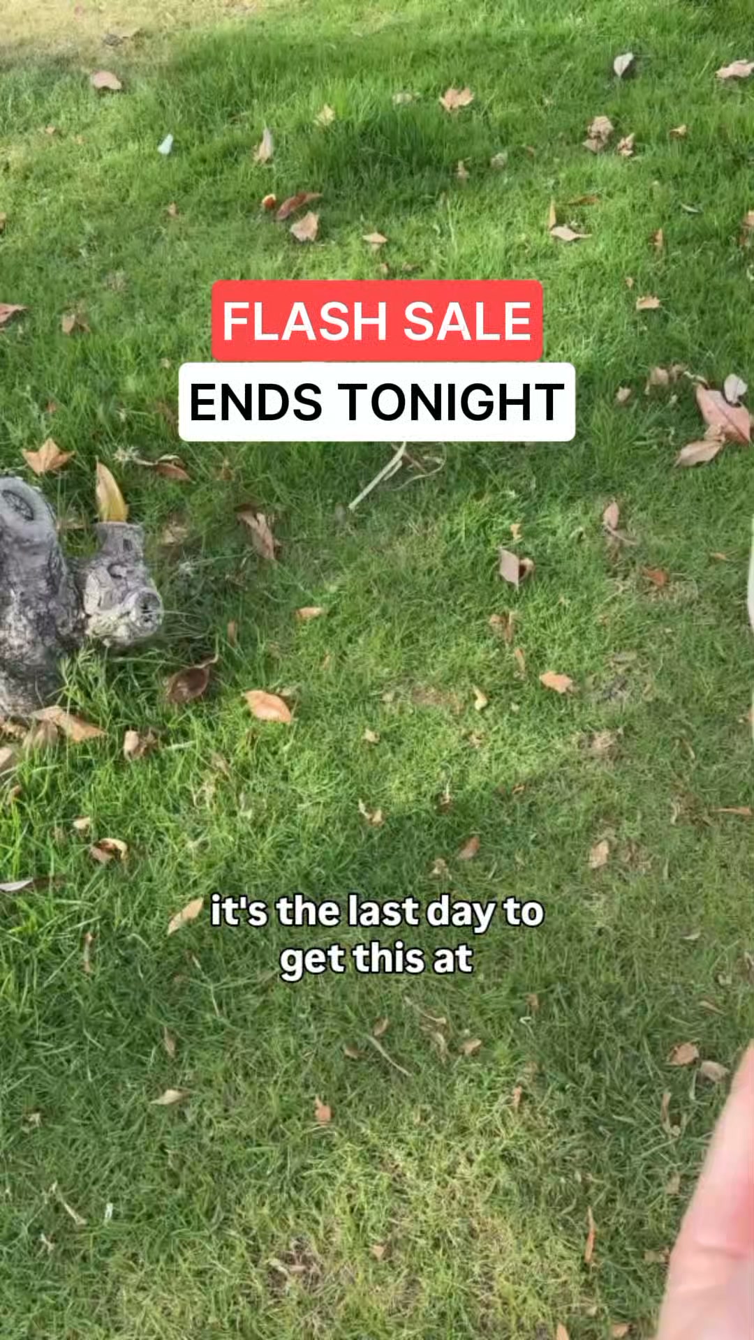 Buy 2 Get 1 Free Ends Tonight