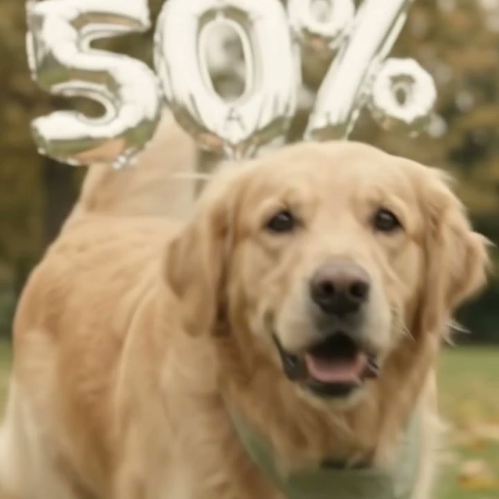 GET 50% OFF!