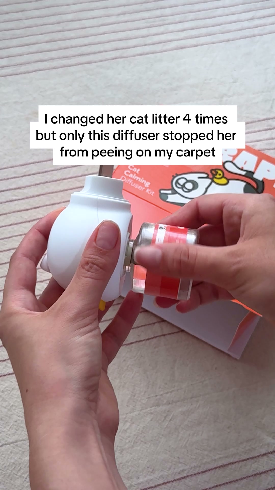 Help your anxious cats feel safe and calm