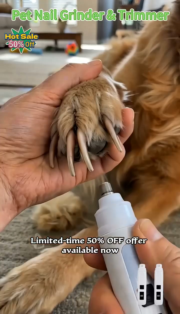 2026 HOT SALE 50% OFF