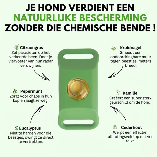Je hond wacht nog steeds op je