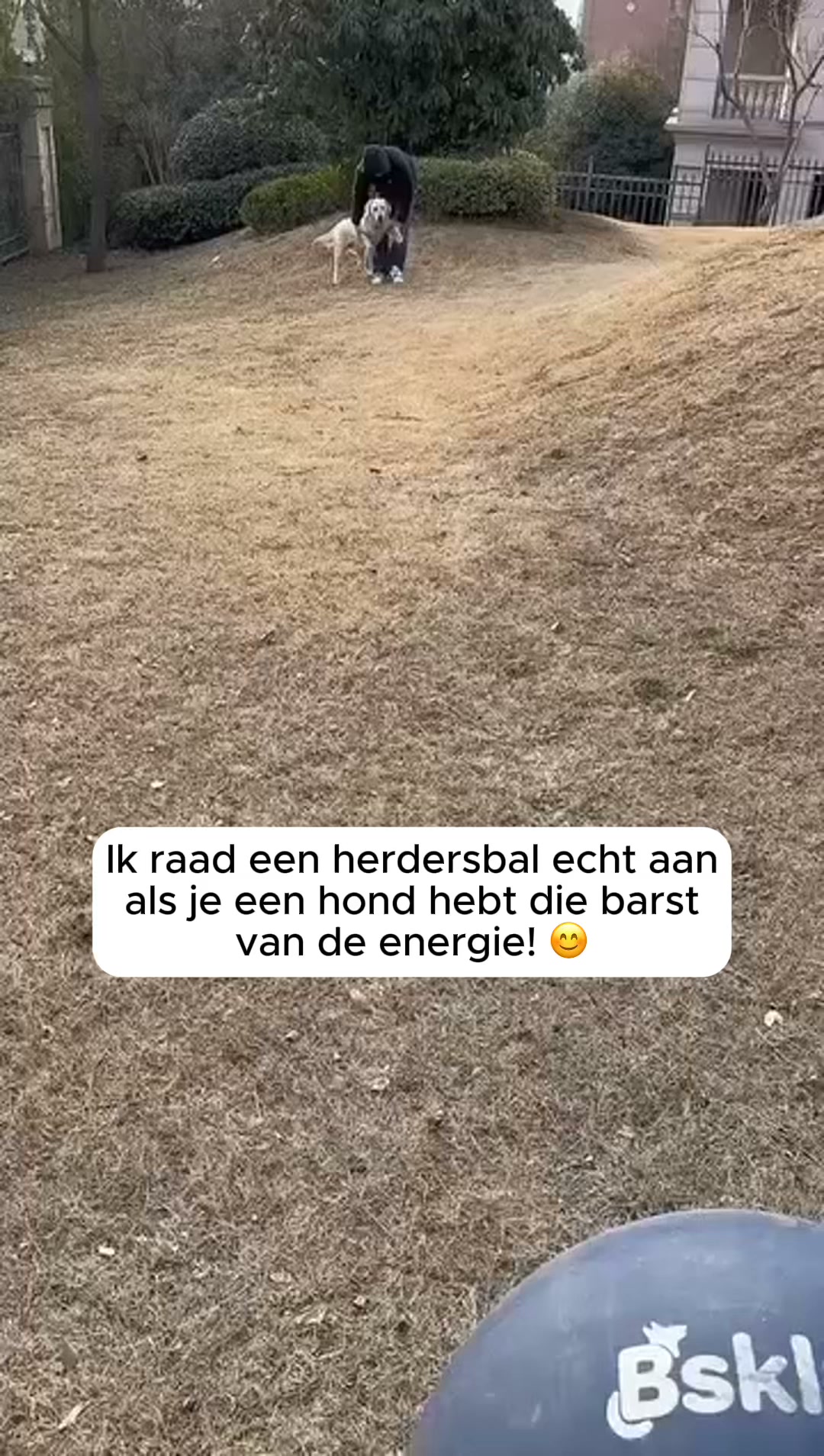De nummer 1 duurzame speelbal voor honden