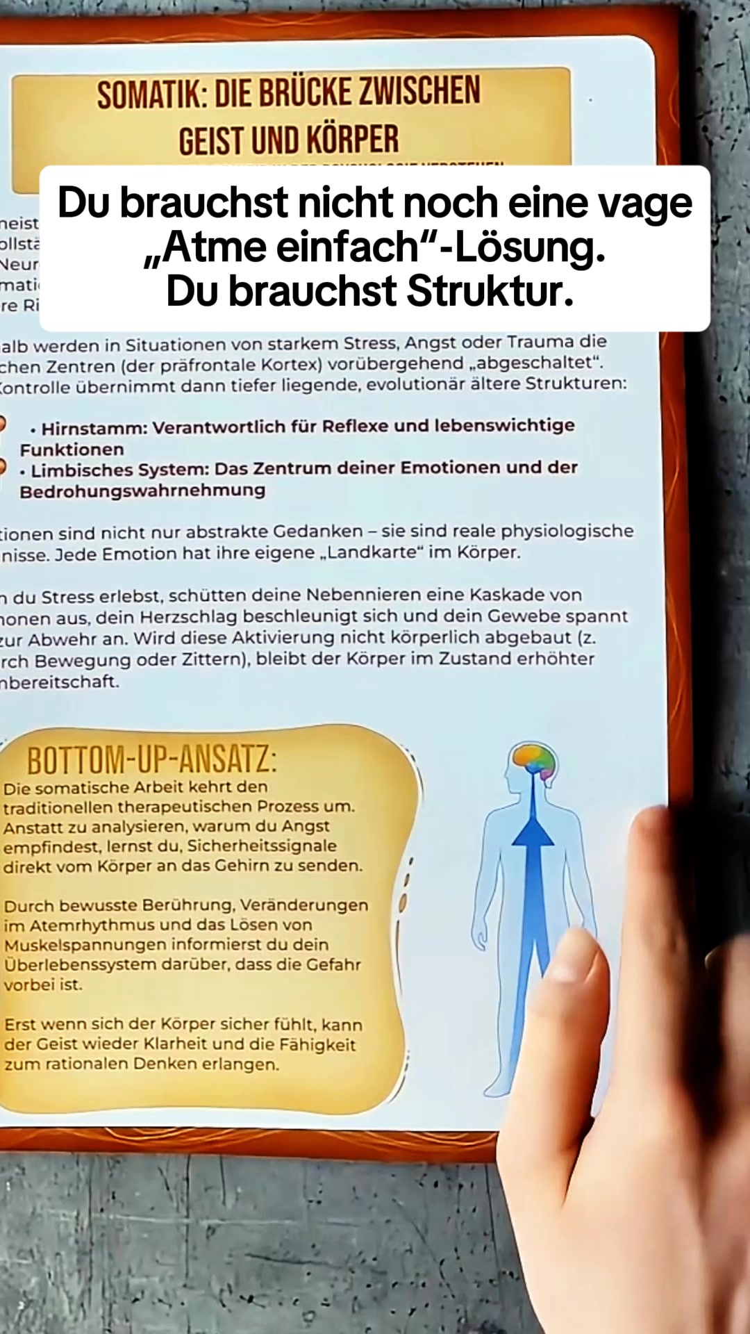 Arbeitsbuch für Somatische Therapie