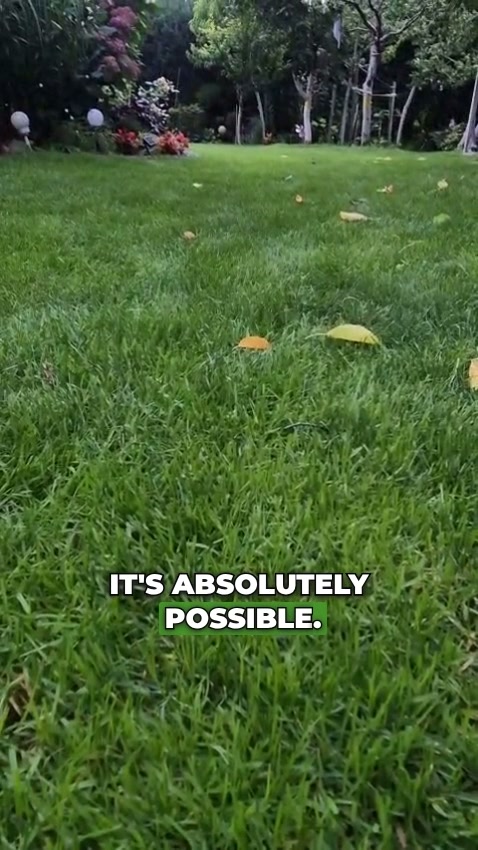 A lawn like this? Grab this set