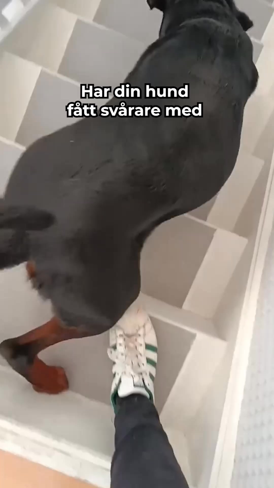 Om Du Känner Igen Några Av Dessa Tecken, Så Prova Dessa Effektiva Godbitar