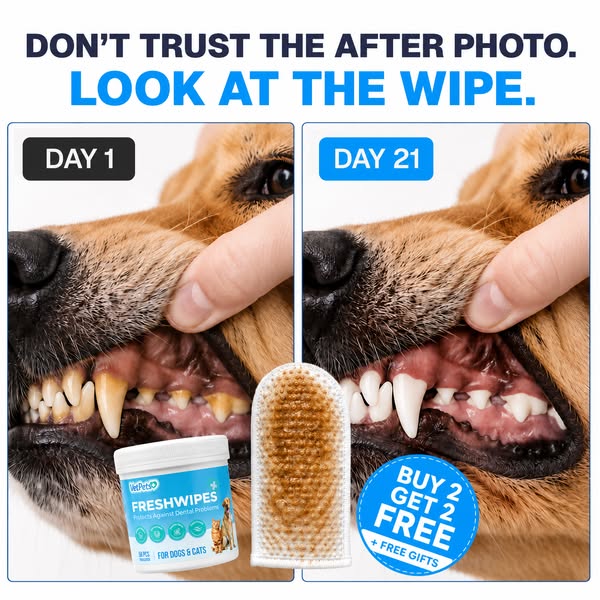 Same dog. 21 days apart.