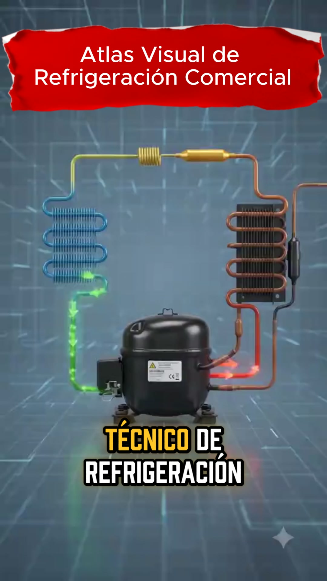 Atlas Visual de Refrigeración Comercial