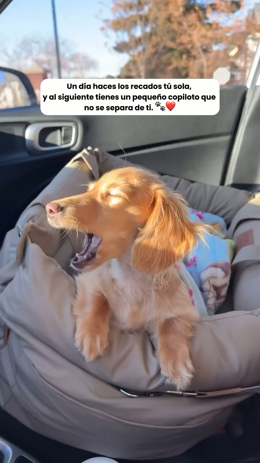 Su sitio en el coche, por fin