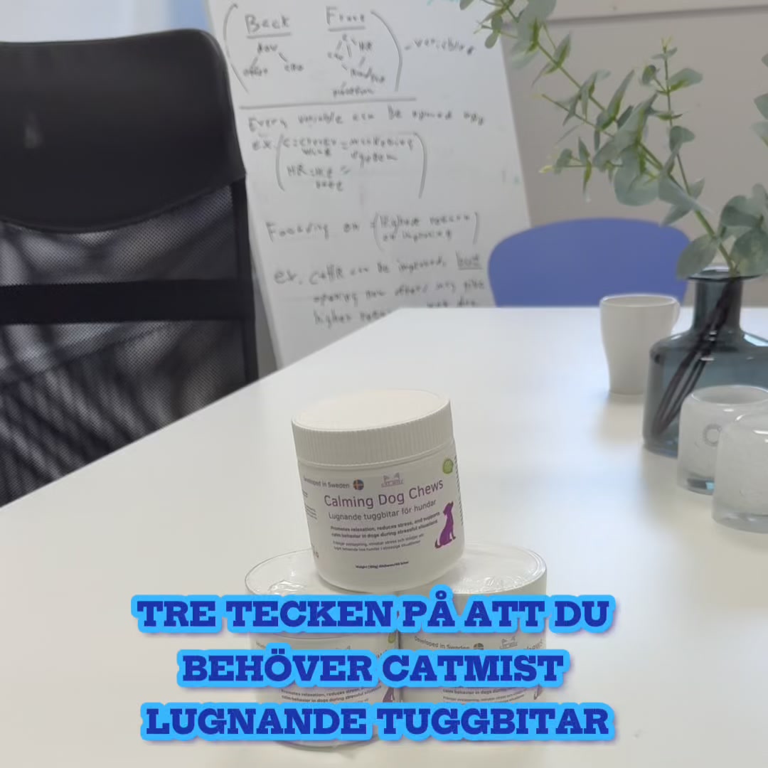 För en lugnare hund