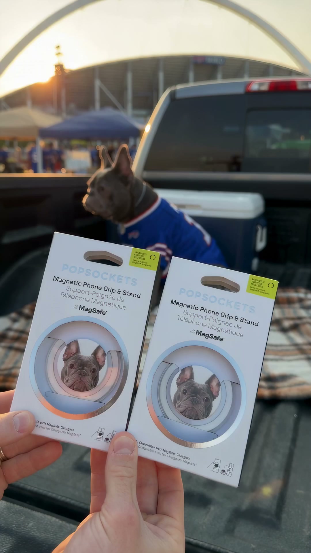 Free, Fast, & Reliable Shipping