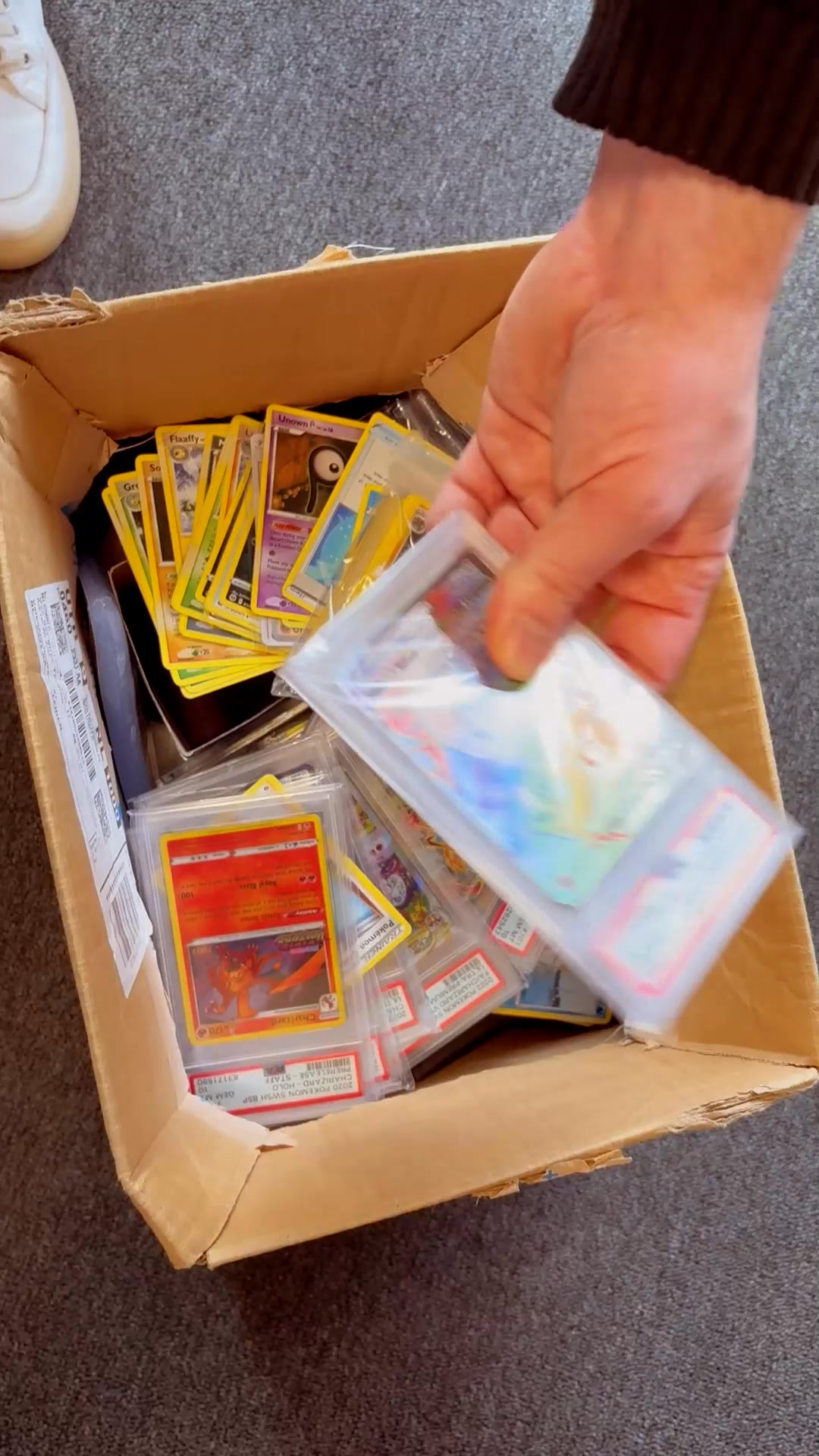 Protect Your Card Collection