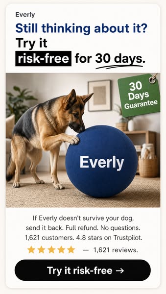 Still waiting? Your Everly is half price — while stock lasts.