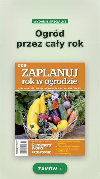 Zaplanuj z nami