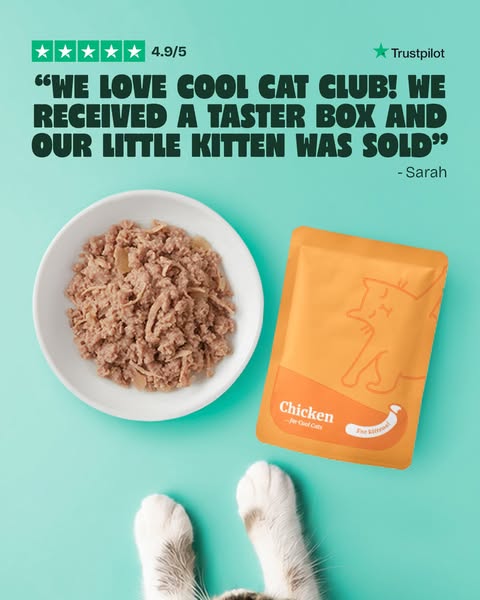 Over 10,000+ happy cats!