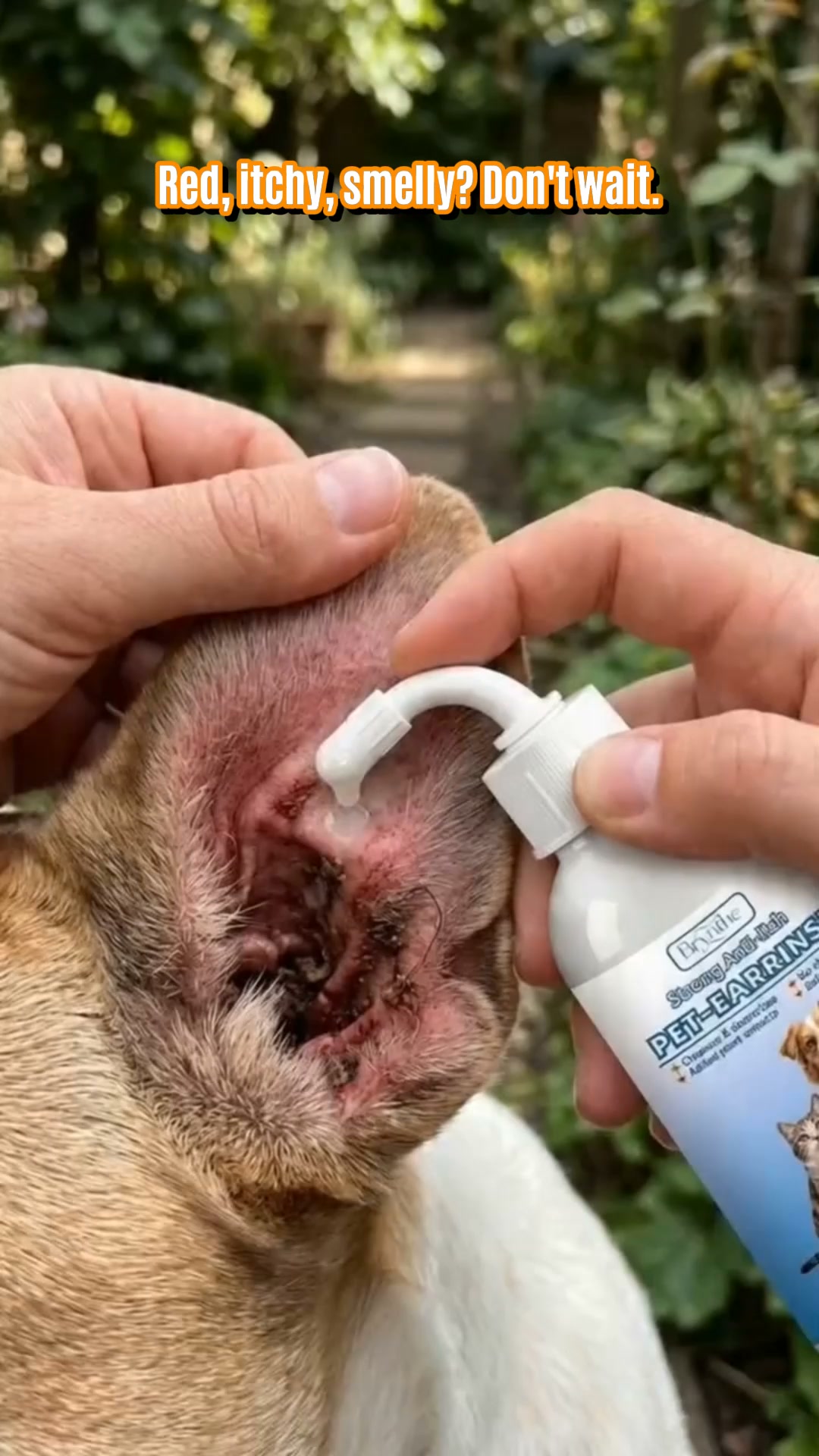 Smelly Pet Ears? Try This!
