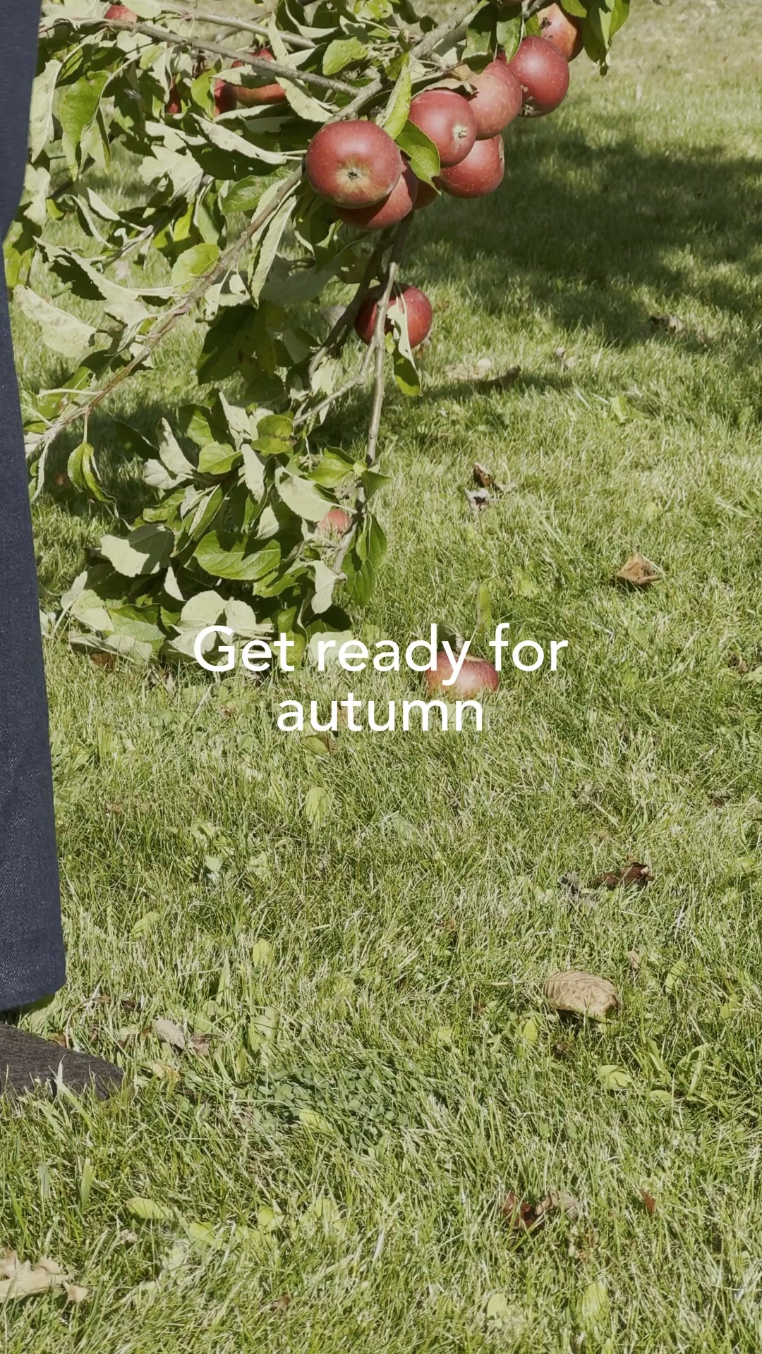 Step into autumn coziness