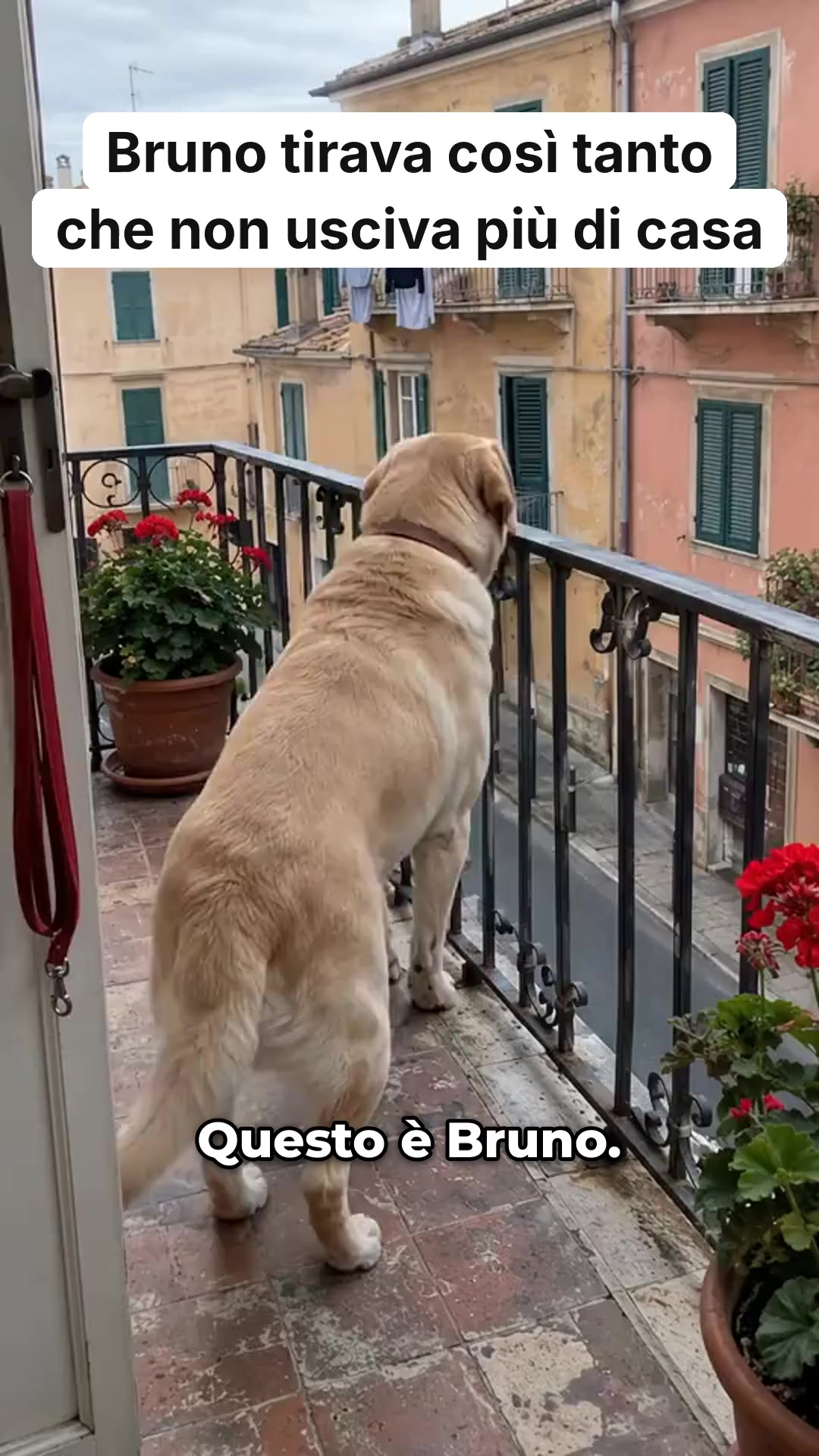 Basta tirare, da oggi