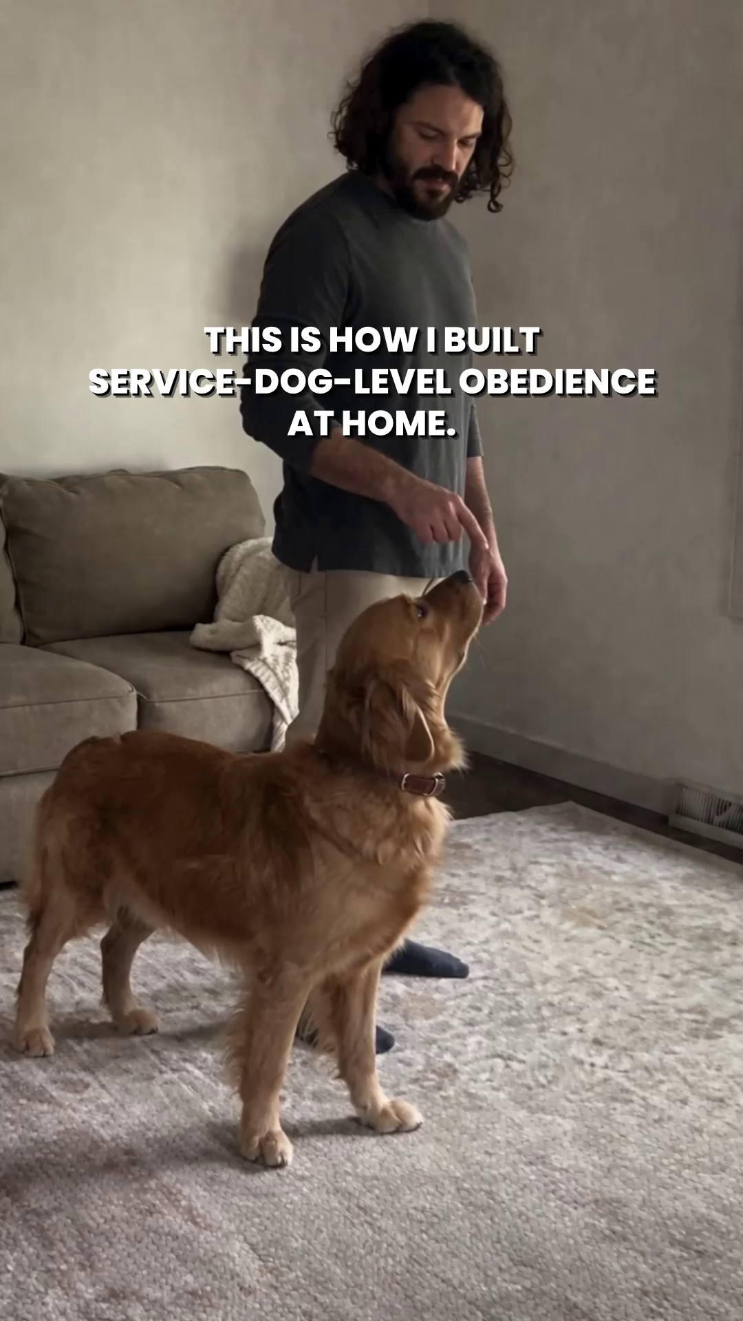 Start Service-Dog-Level Challenge ▶