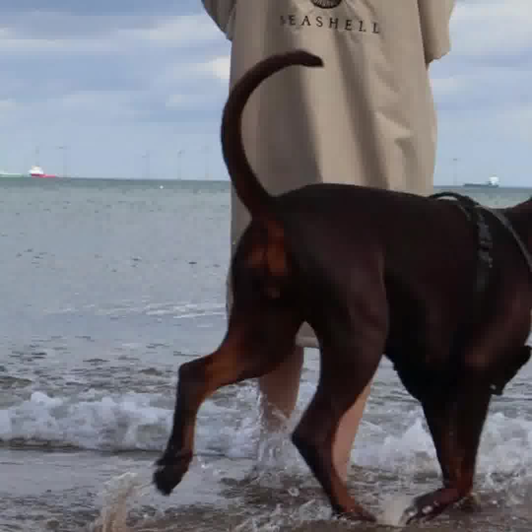 Stay Warm, Stay Dry, Stay Seashell