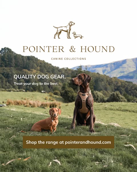 Quality Dog Gear Made to Last