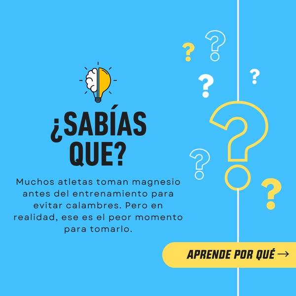 4Endurance España