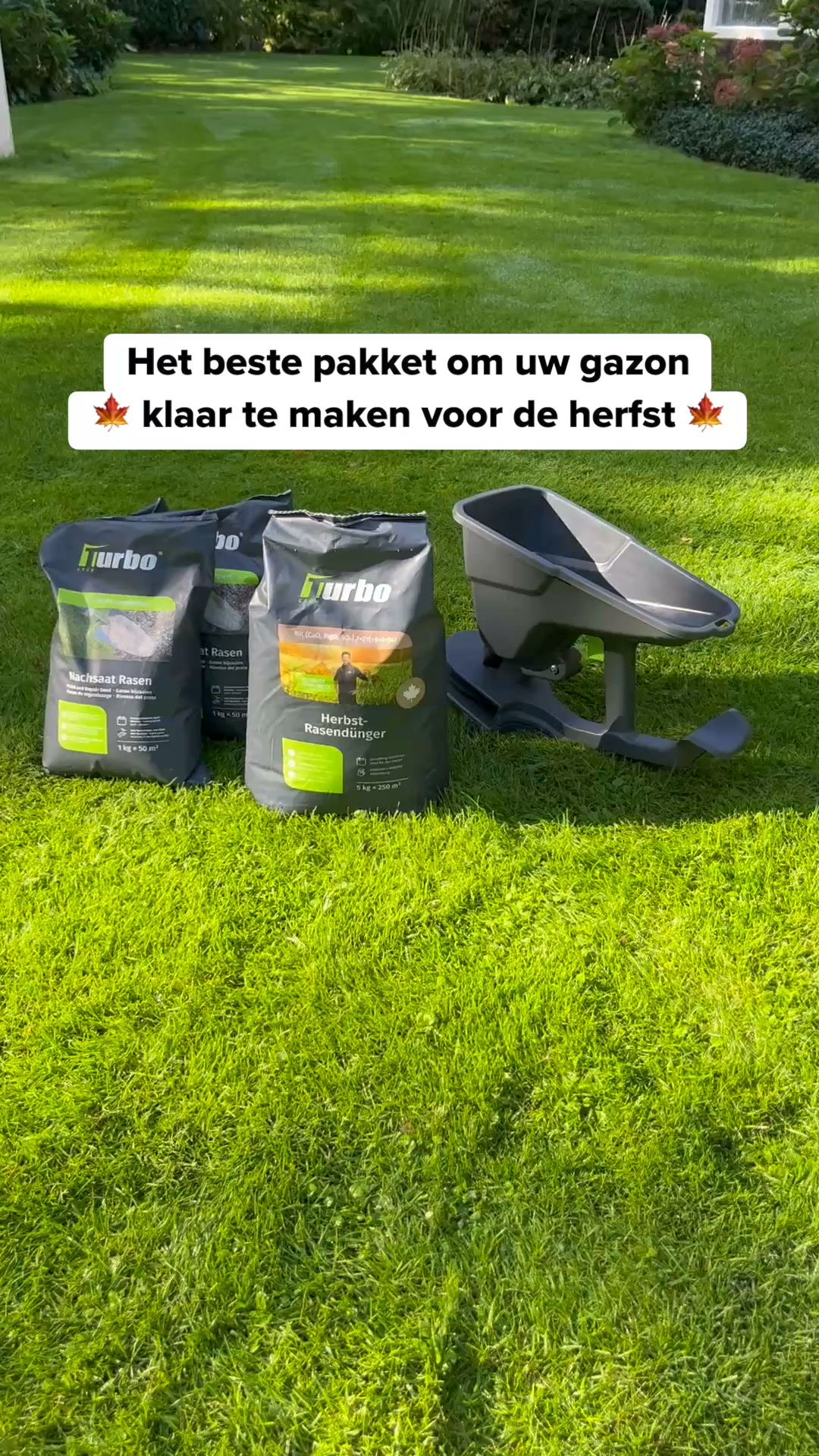 Je gazon redden na de zomer