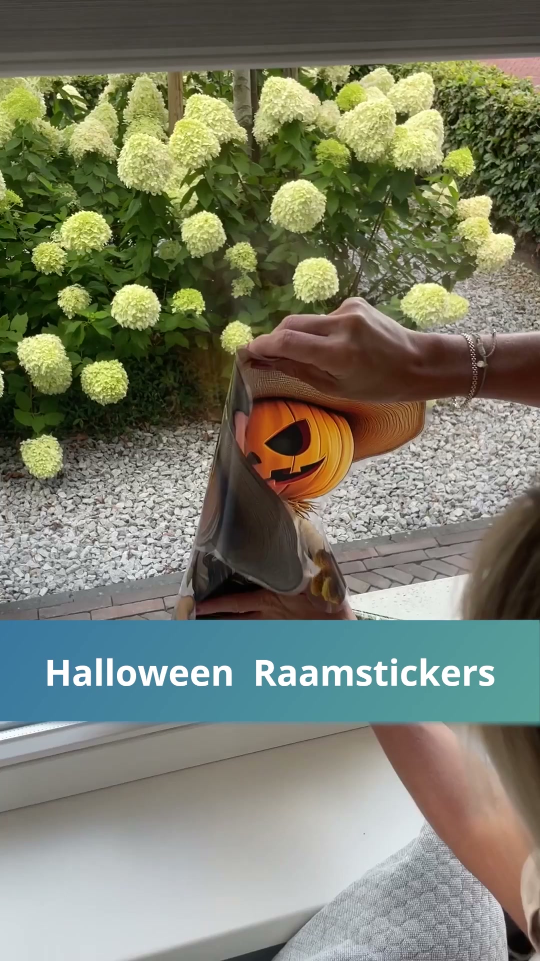 Bestel Halloween Stickers
