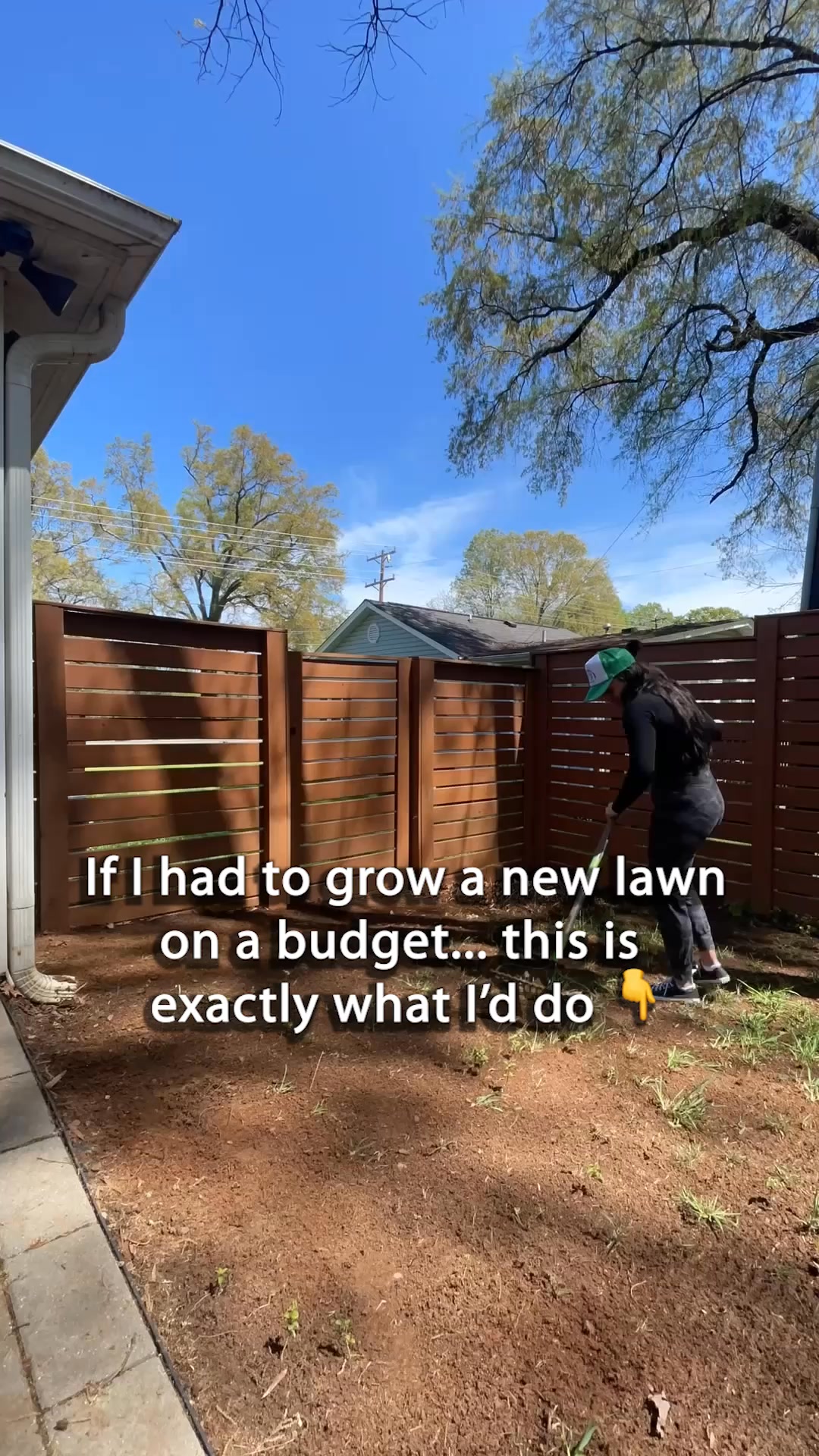 Get a Lush Green Lawn That's the Envy of Your Neighbours!