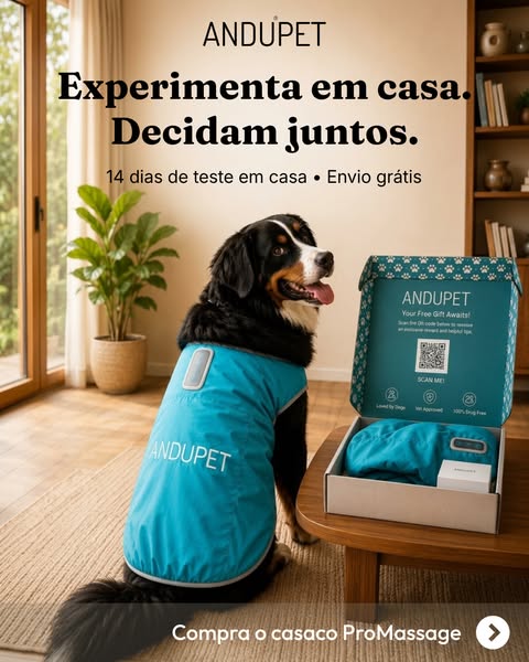 Experimenta em casa. Decidam juntos.