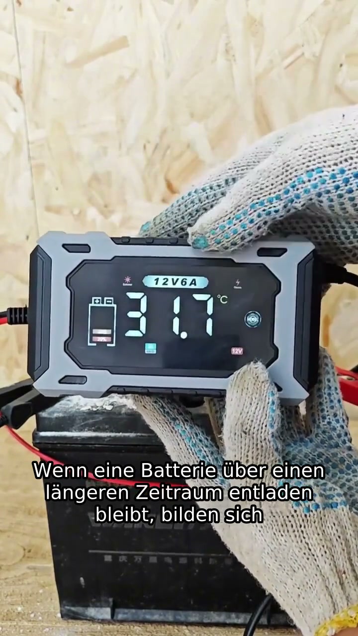 12V 6A Intelligentes Autobatterie-Ladegerät
