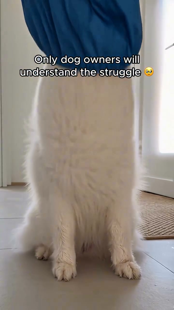 No More "Wet Dog Shake" Mess!