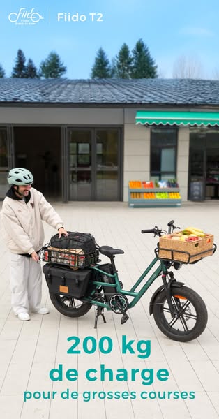 Nouveau Fiido T2 2025 Vélo cargo électrique Longtail