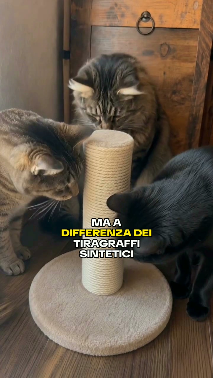 Oltre 2.500 pezzi venduti